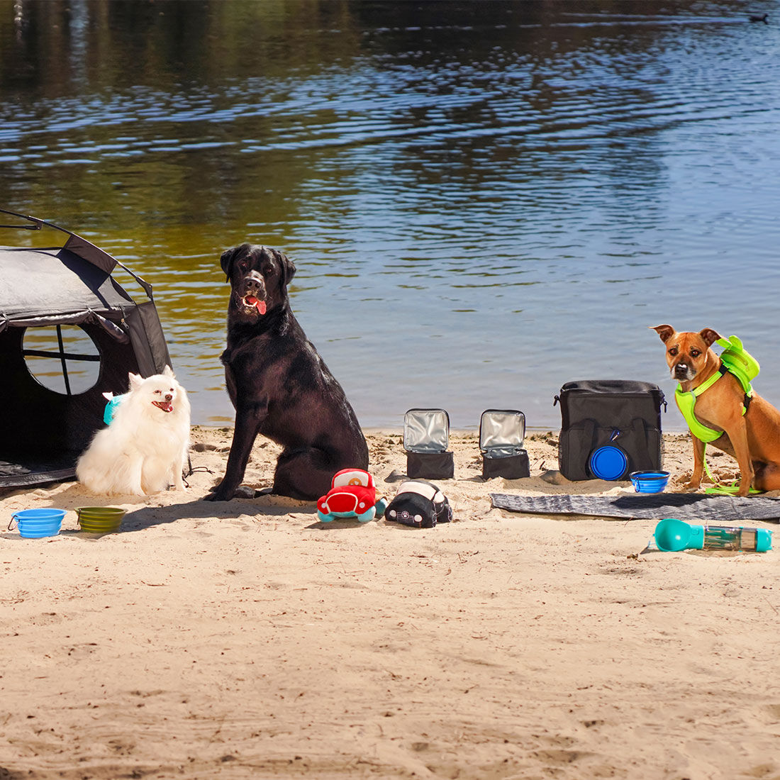 Pop Up Pet Tent, , scaau_hi-res