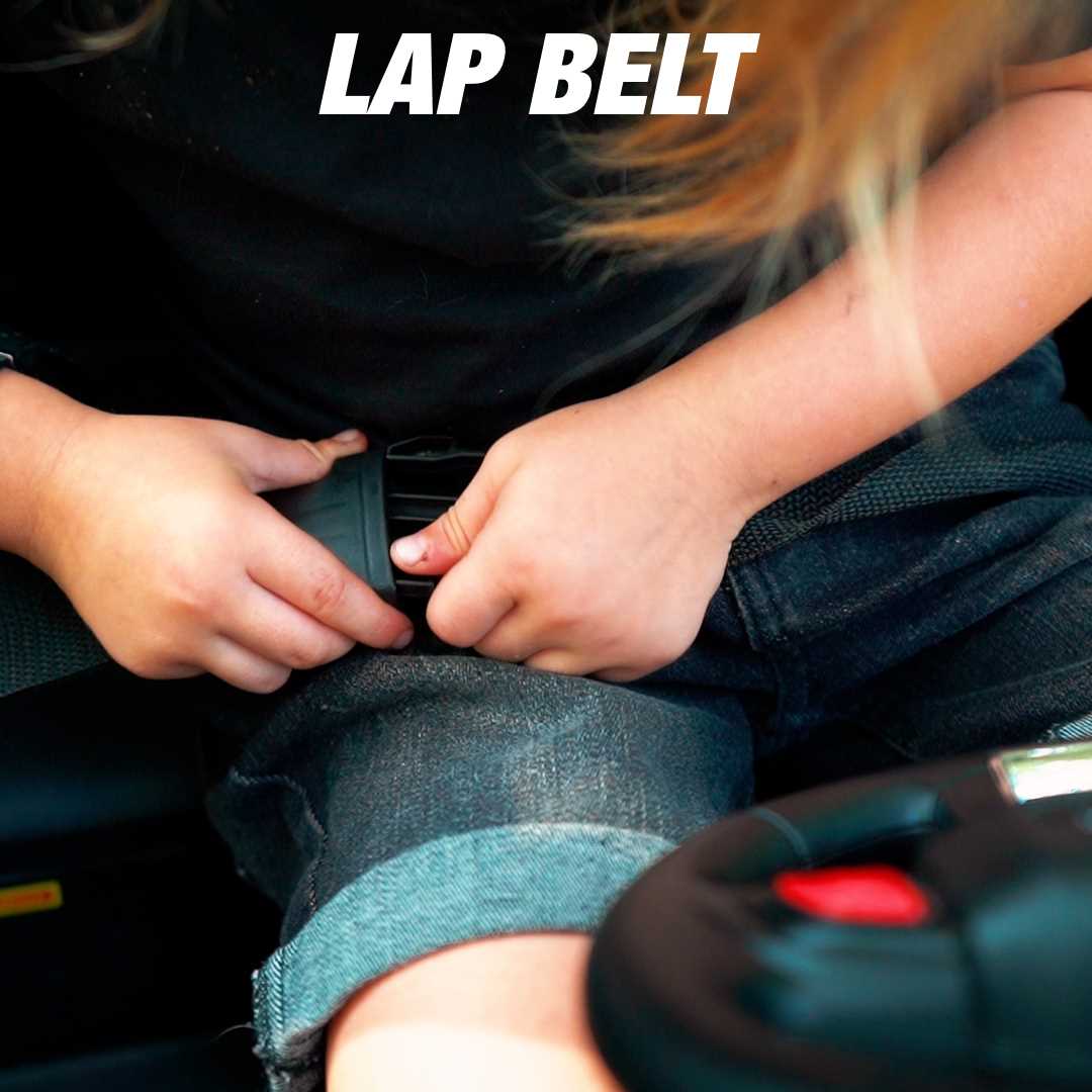 Lap Belt 