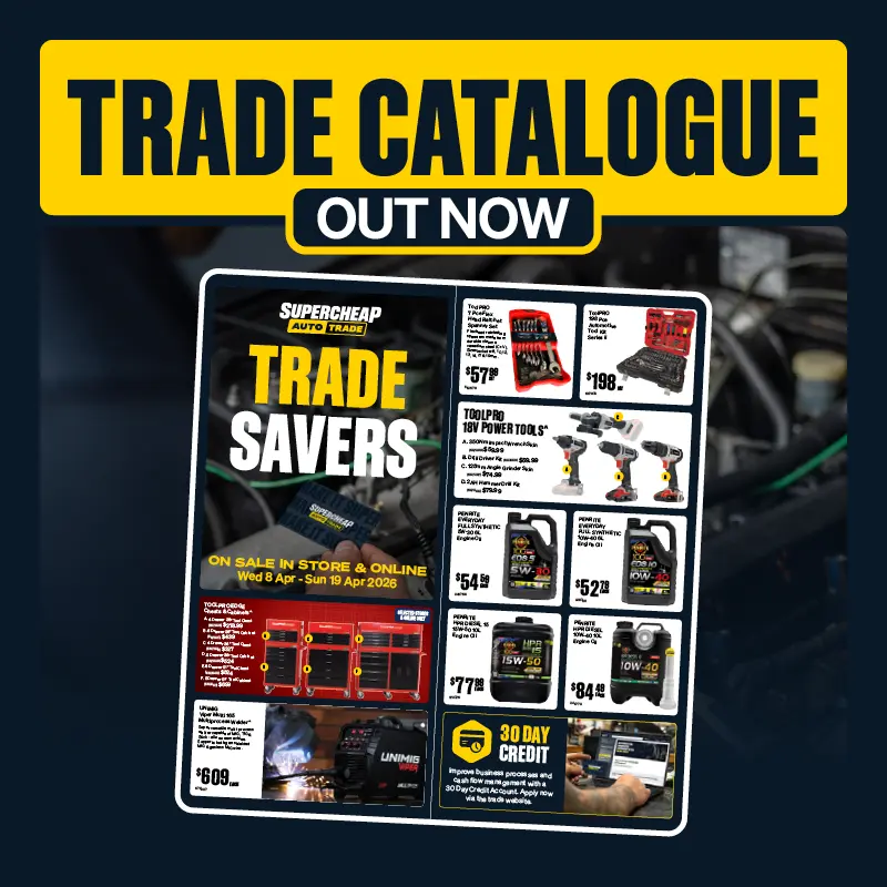 Trace Catalogue Out Now