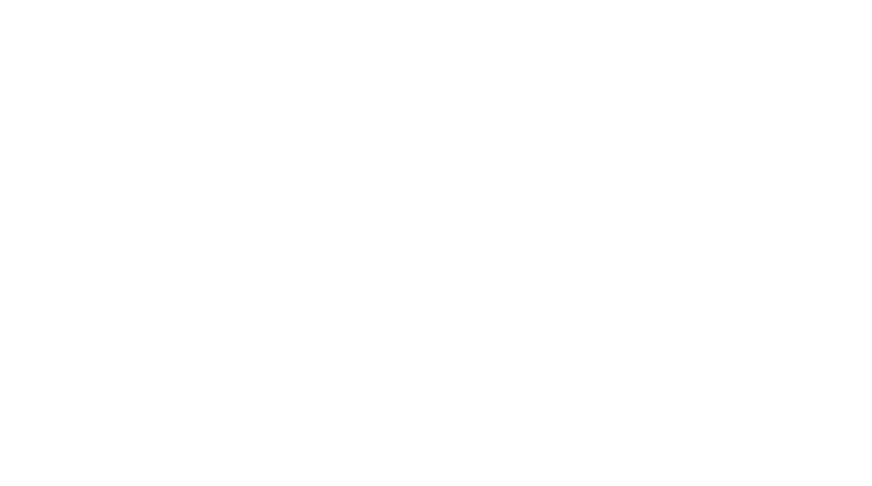 Safari Snorkels